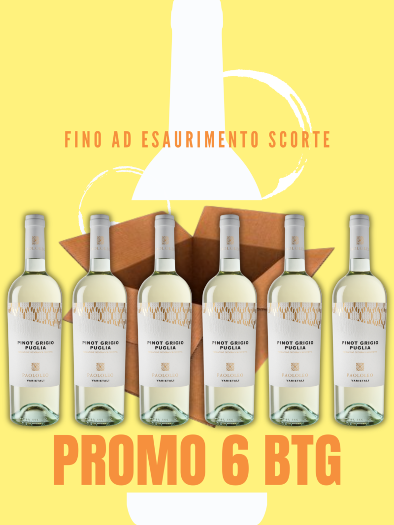 Pinot Grigio Cantine Paoloelo - Formato convenienza