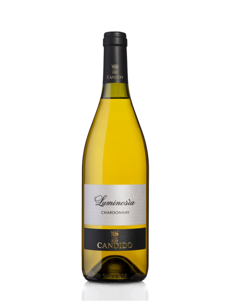 Luminosìa Chardonnay Pugliese Cantine Candido